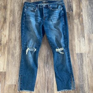 Torrid High-Rise Straight Leg Women’s Jeans